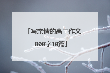 写亲情的高二作文800字10篇