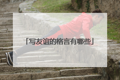 写友谊的格言有哪些