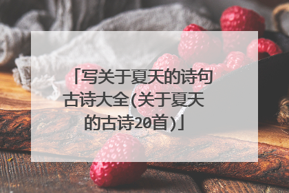 写关于夏天的诗句古诗大全(关于夏天的古诗20首)