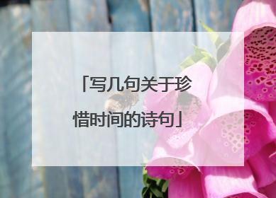 写几句关于珍惜时间的诗句