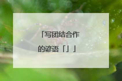 写团结合作的谚语「」