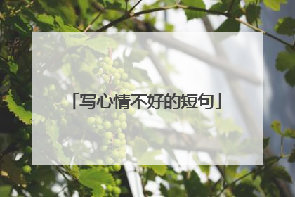 写心情不好的短句