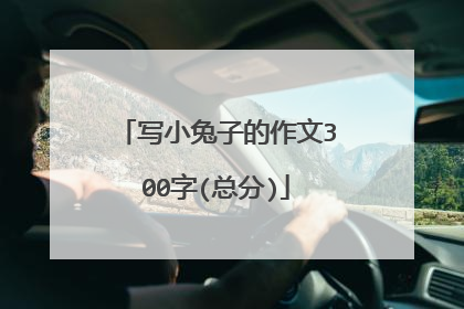 写小兔子的作文300字(总分)