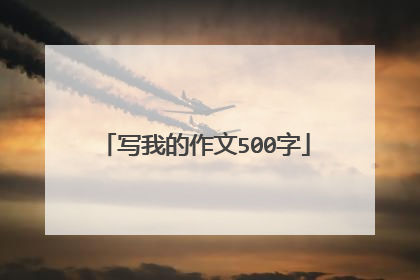 写我的作文500字
