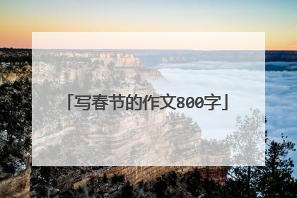 写春节的作文800字