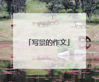 写景的作文