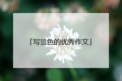写景色的优秀作文