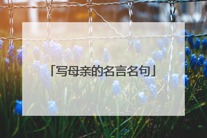 写母亲的名言名句