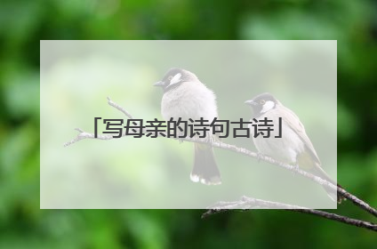 写母亲的诗句古诗