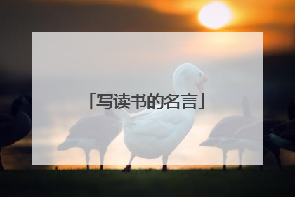 写读书的名言