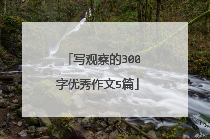 写观察的300字优秀作文5篇