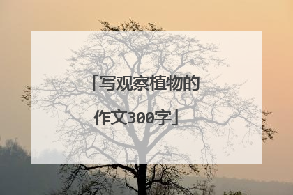 写观察植物的作文300字