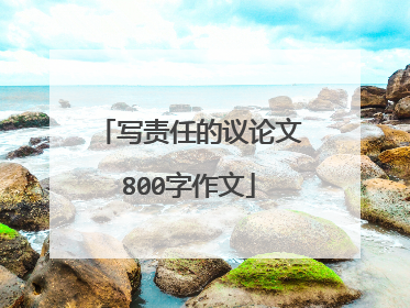 写责任的议论文800字作文