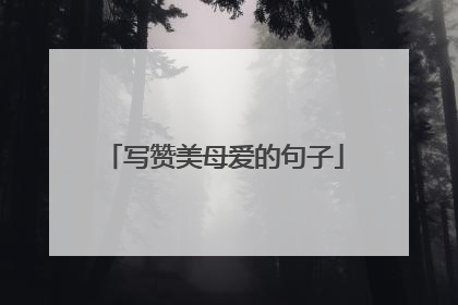 写赞美母爱的句子