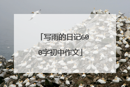 写雨的日记600字初中作文