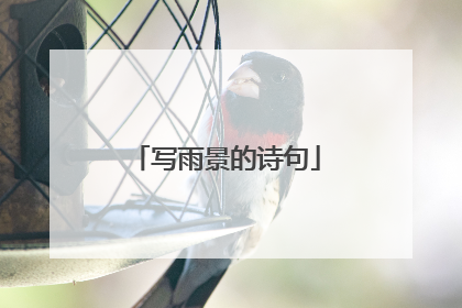 写雨景的诗句