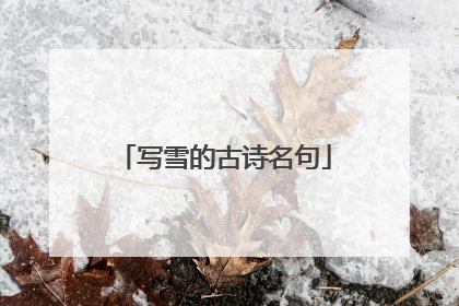写雪的古诗名句