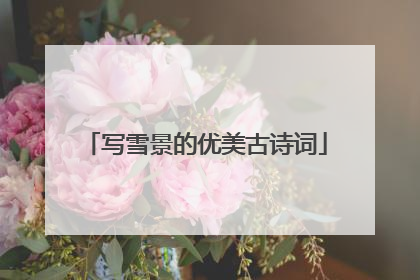 写雪景的优美古诗词