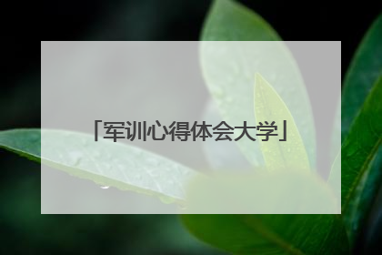 军训心得体会大学
