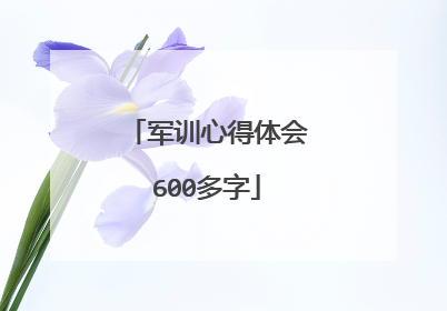 军训心得体会600多字