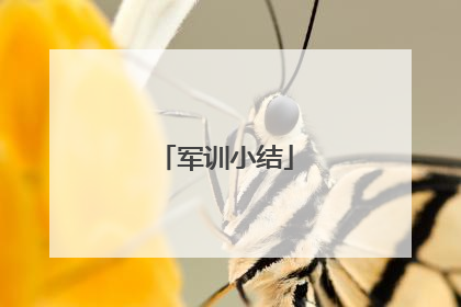 军训小结