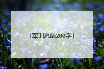 军训总结200字