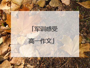 军训感受高一作文