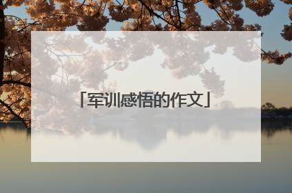 军训感悟的作文