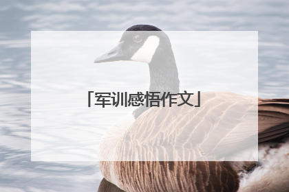 军训感悟作文