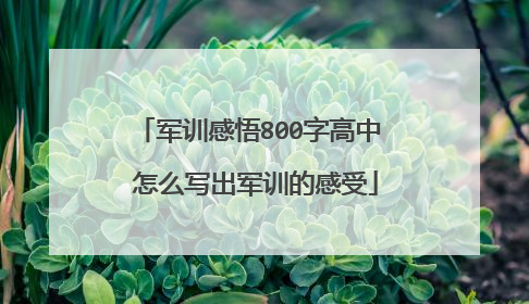军训感悟800字高中 怎么写出军训的感受