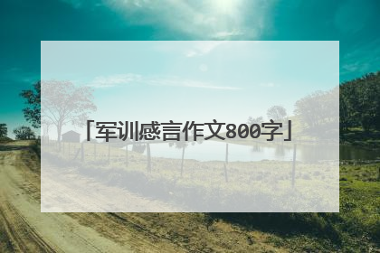 军训感言作文800字
