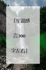 军训感言300字左右