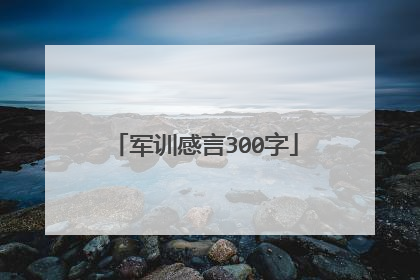 军训感言300字