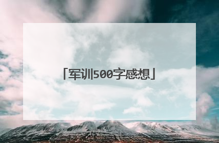 军训500字感想