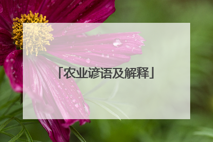 农业谚语及解释