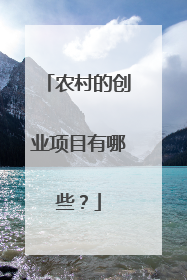 农村的创业项目有哪些?