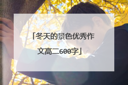 冬天的景色优秀作文高二600字