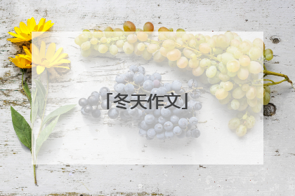 冬天作文