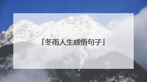 冬雨人生感悟句子