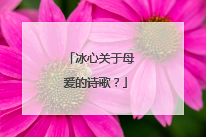 冰心关于母爱的诗歌？