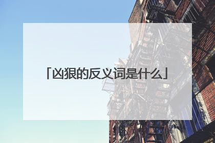 凶狠的反义词是什么