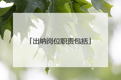 出纳岗位职责包括