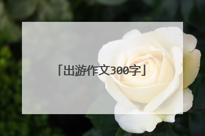 出游作文300字