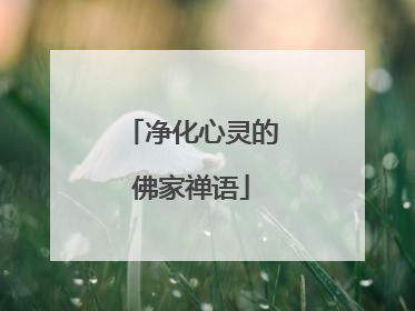 净化心灵的佛家禅语
