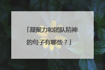 凝聚力和团队精神的句子有哪些？
