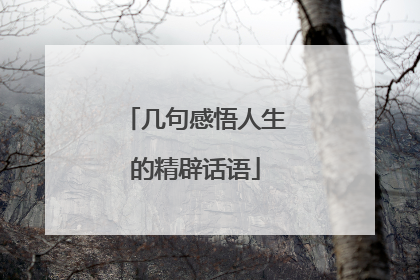 几句感悟人生的精辟话语