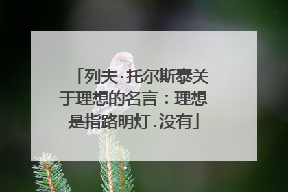列夫·托尔斯泰关于理想的名言：理想是指路明灯.没有