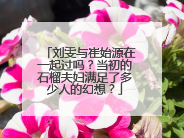 刘雯与崔始源在一起过吗?当初的石榴夫妇满足了多少人的幻想?