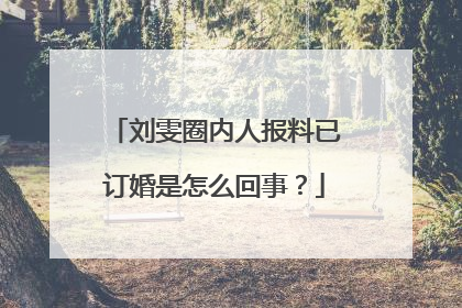 刘雯圈内人报料已订婚是怎么回事?