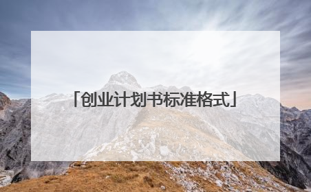 创业计划书标准格式